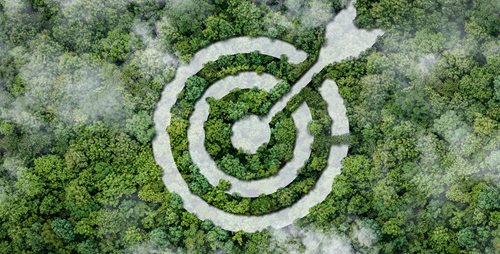 dm identifiziert die wesentlichen Nachhaltigkeitsthemen